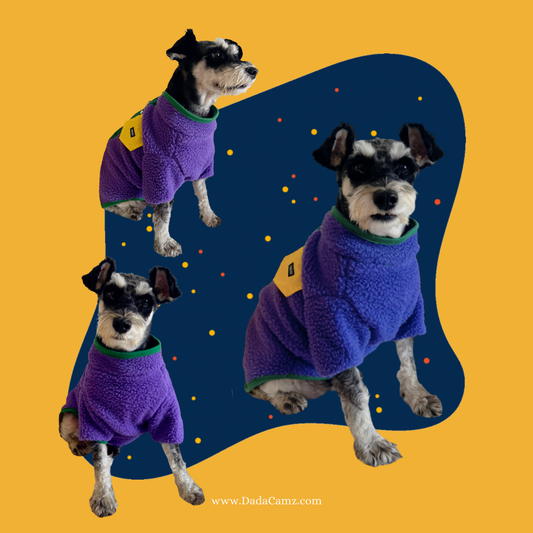 Color-Block Polar Fleece Pet Jacket with Leash Ring – Warm Winter Coat for Small & Medium Dogs & Cats (Purple, Navy Blue, Red)