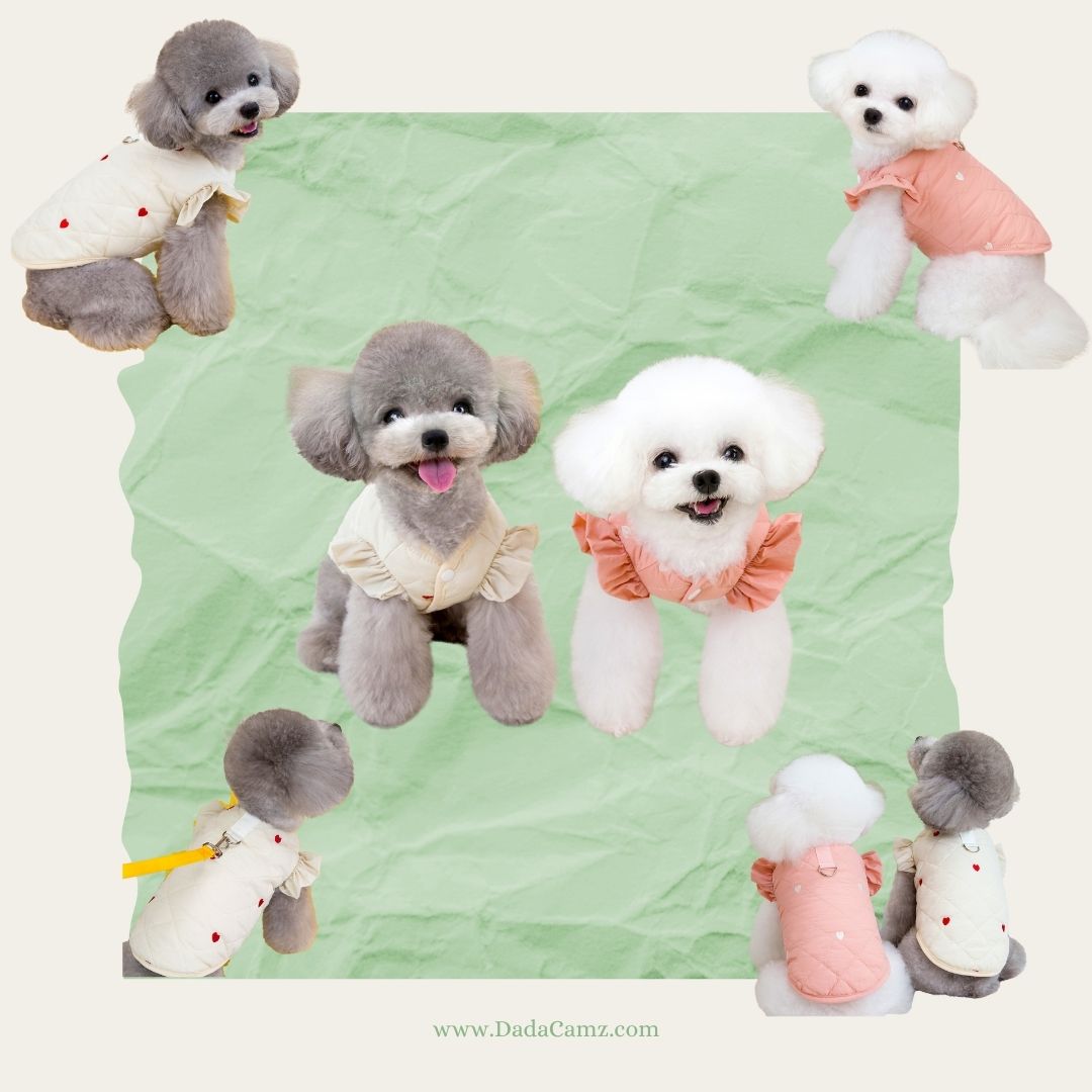 Minimalist Padded Pet Vest with Leash Ring – Heart Pattern Winter Jacket for Small & Medium Dogs & Cats (Pink, Off-White)