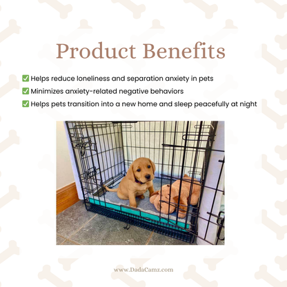 Calming Pet Plush Toy with Simulated Heartbeat – Comfort & Anxiety Relief Companion for Dog (5 Styles)