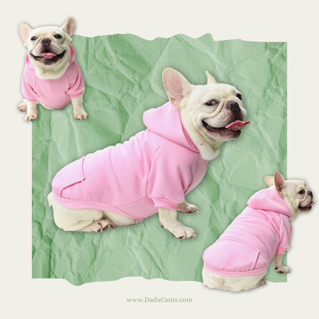 Pet Hoodie for Fall & Winter – Soft Fleece Hooded Sweatshirt with Pocket for Small & Medium Dogs & Cats (Brown, Orange, Pink, Purple, Red, Blue)