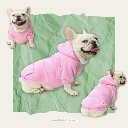 Pet Hoodie for Fall & Winter – Soft Fleece Hooded Sweatshirt with Pocket for Small & Medium Dogs & Cats (Brown, Orange, Pink, Purple, Red, Blue)