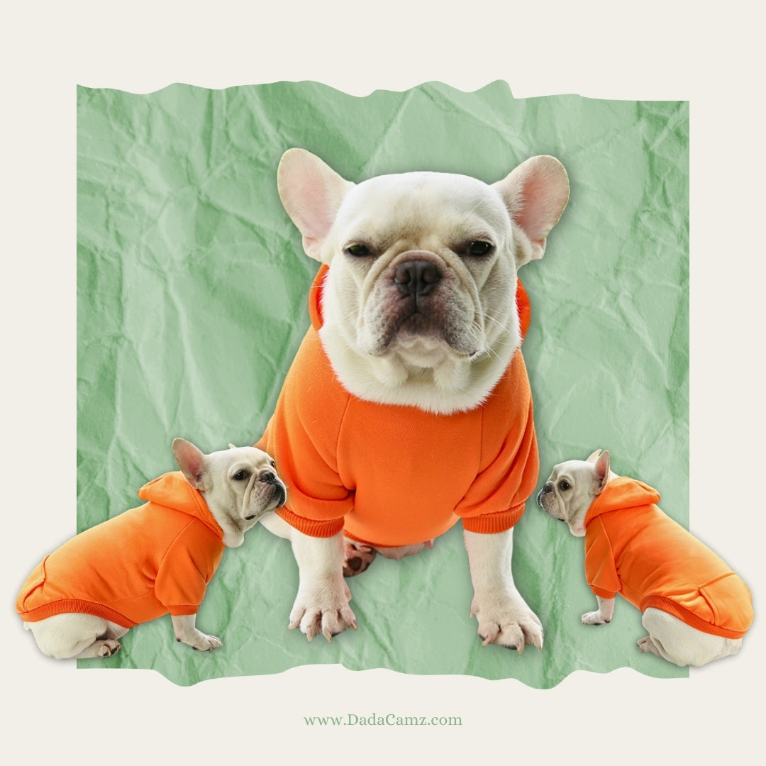 Pet Hoodie for Fall & Winter – Soft Fleece Hooded Sweatshirt with Pocket for Small & Medium Dogs & Cats (Brown, Orange, Pink, Purple, Red, Blue)