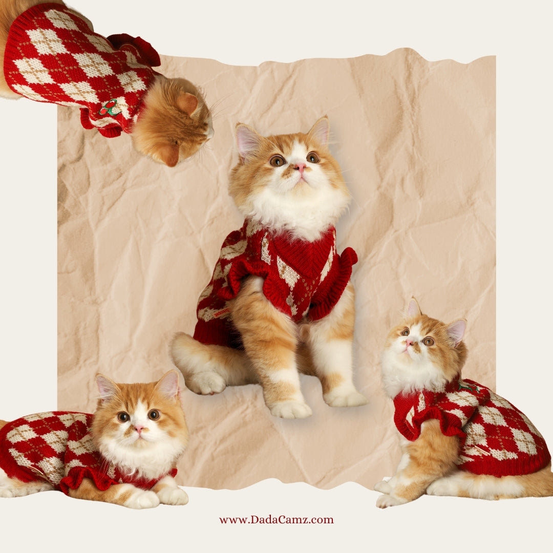 Cherry Pattern Knitted Pet Sweater – Argyle Pullover for Small & Medium Dogs & Cats (Red)
